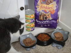 Friskies Cat Food