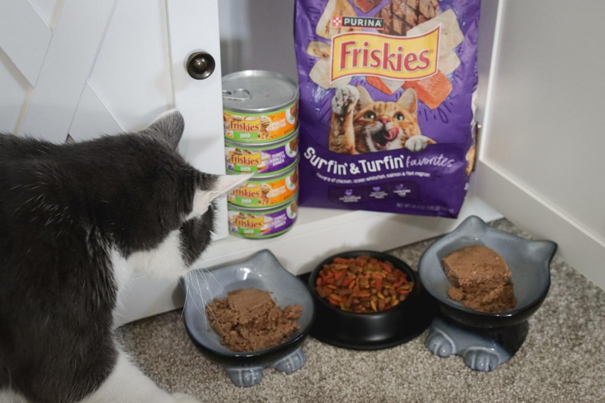Friskies Cat Food