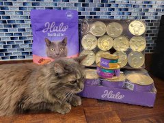 Halo Cat Food