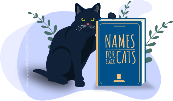 210 Most Popular Names For Black Cats