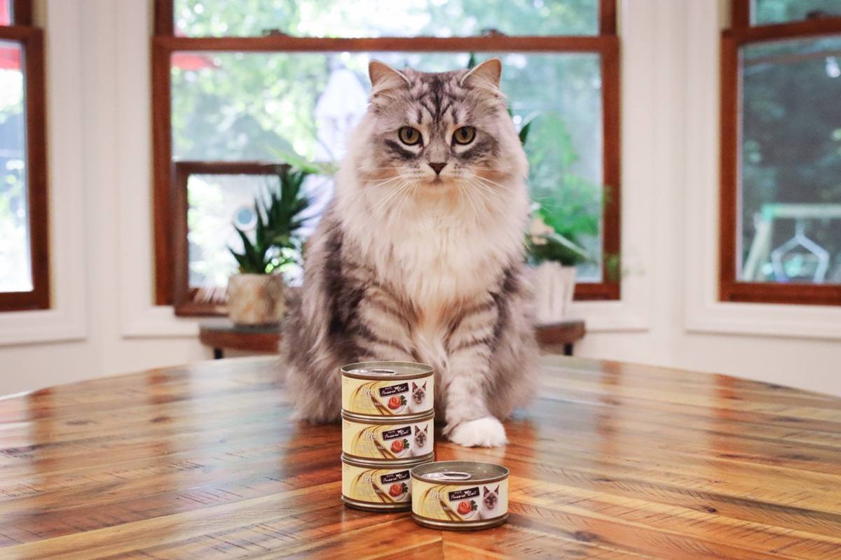 White Grey Striped Siberian Fussie Cat Chicken Entree In Gravy Pate Wet Canned Cat Food-1-compressed