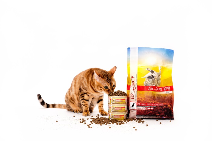 Nutritional Needs For Indoor and Outdoor Cats Is There a