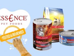 Brand Review - essence