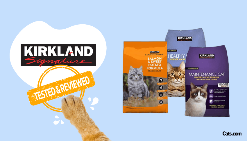 Unbiased Kirkland Cat Food Review In 2024 