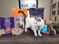 Kirkland Signature Cat Food