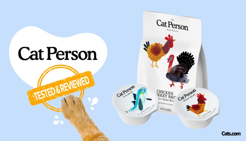 I And Love And You Cat Food Reviews  : Unbiased Insights