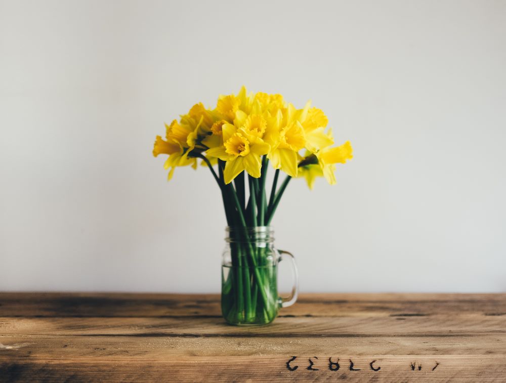 Yellow daffodils in a mason jar