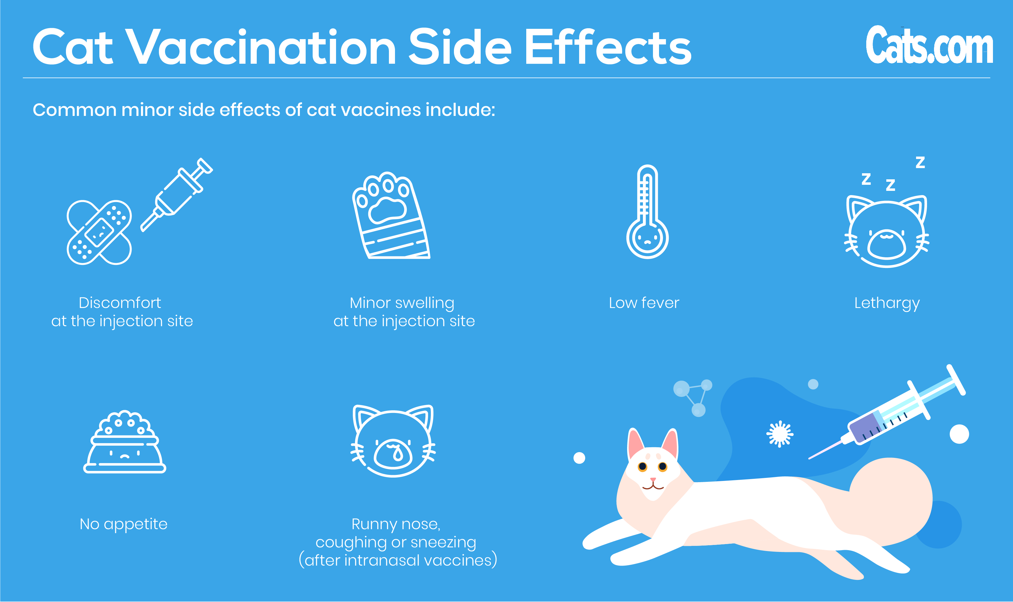 Cat Vaccination Side Effects