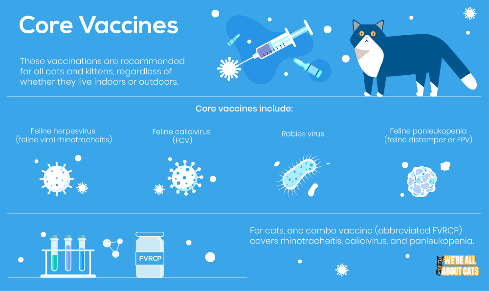 Core Vaccines