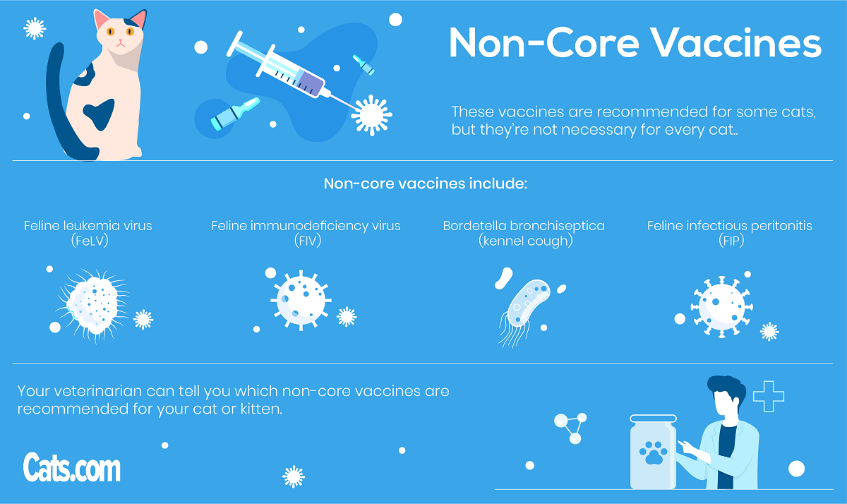 Non-Core Vaccines