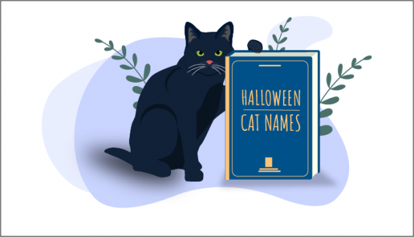 200 Halloween Cat Names For 2023 Spooky Sweet More In 2023 Cats