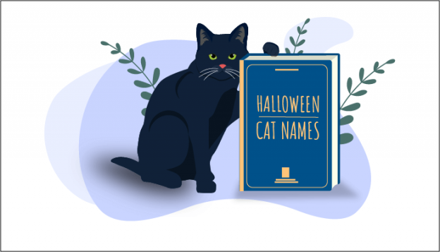 150 Most Popular Halloween Themed Cat Names