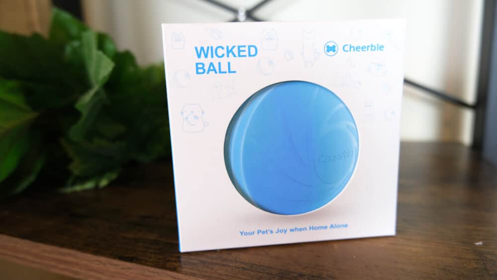 Wicked ball by sales cheerble