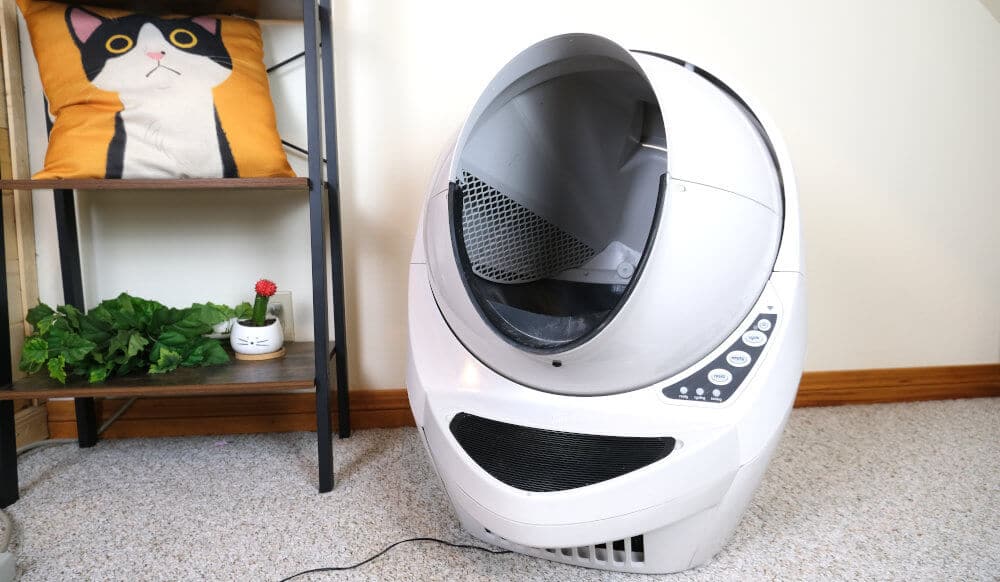 set up litter robot