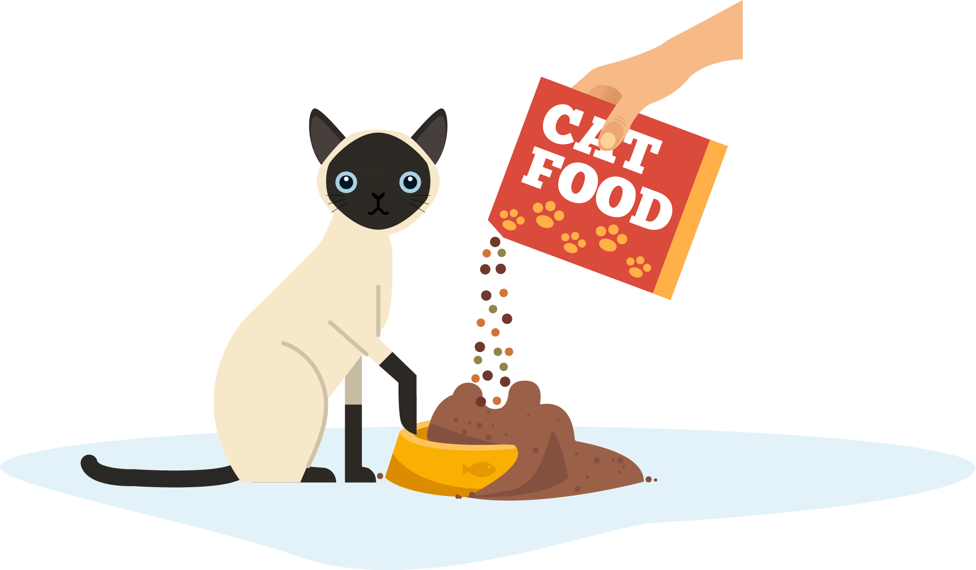illustration of feeding cat a cat food