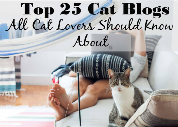 Listed in Top 25 pet blogs