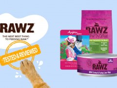 Brand-Review-Rawz