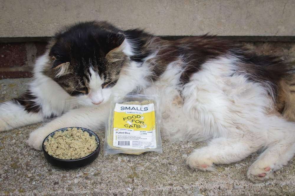 Smalls Fresh Pulled Bird Chicken Wet Cat Food-13