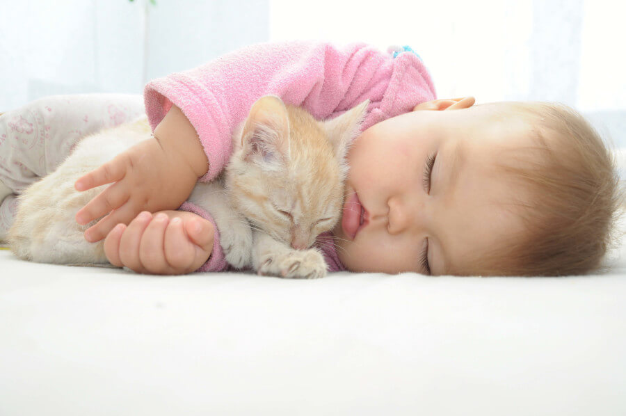 A heartwarming picture featuring a baby and a cat together, capturing a tender moment between the two companions.