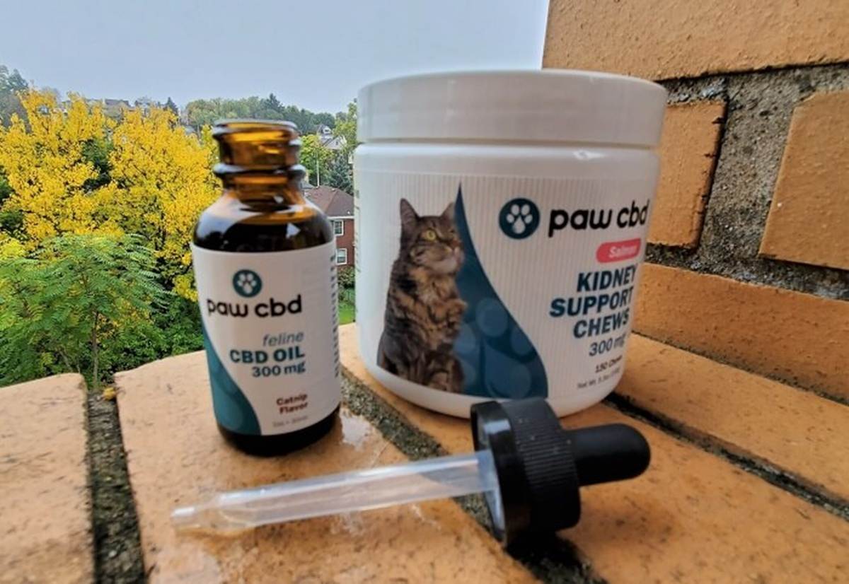 Paw CBD