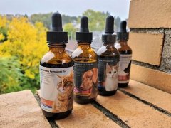 RestoraPet CBD