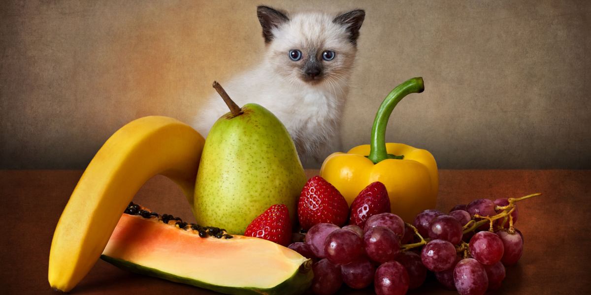 Are pears outlet safe for cats