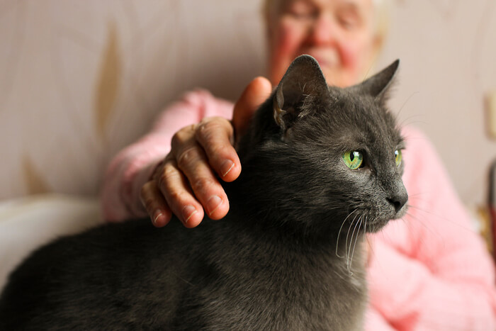 An elderly woman petting a gray cat.