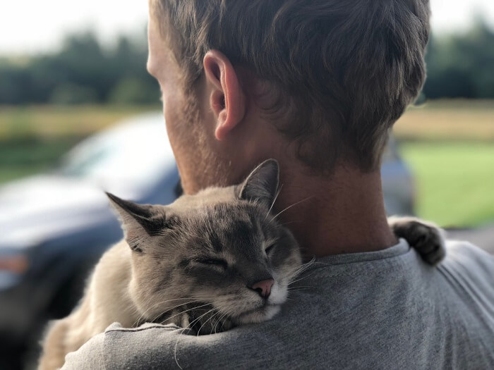 Image featuring a human comforting a sad cat.