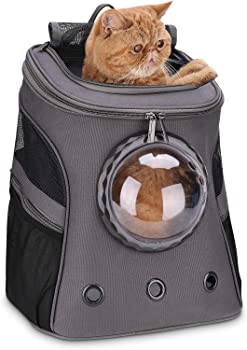 18 Best Cat Backpacks for Traveling Cats in 2022: Pet Carrier Backpacks  from PetAmi, Lollimeow, TexSens