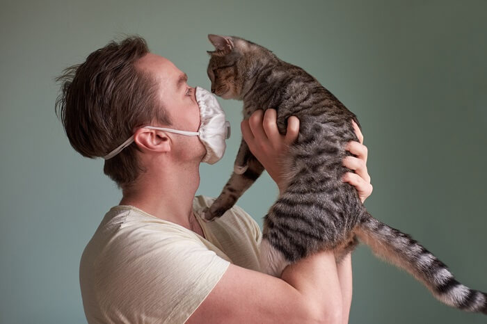 An image illustrating pneumonia in a cat, showcasing the respiratory condition and its effects on the feline.