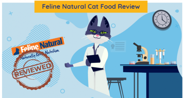 FELINE NATURAL Chicken Lamb Feast Grain-Free Canned Cat Food,