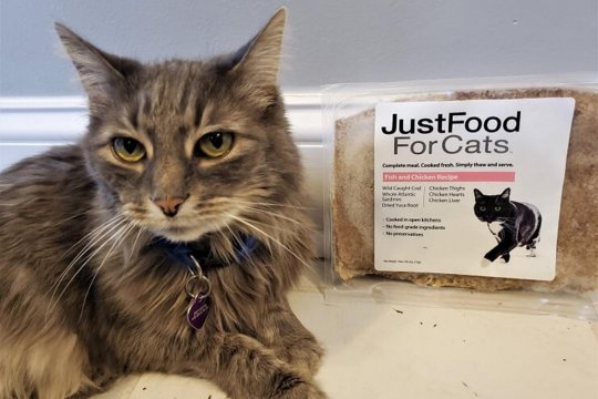 Just Food For Cats Review