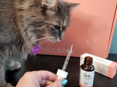 Penelope’s Bloom CBD