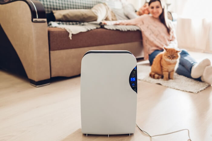 6 Best Air Purifiers For Pet Hair, Dander, Allergies And Odor 2023 - Cats .com