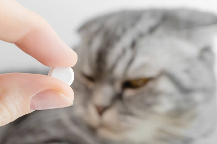 Cats sales and aspirin