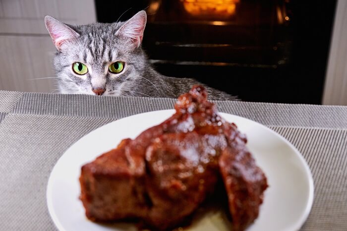 Adventurous cat captivated by a delectable steak.