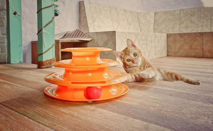  AOSUI cat Treat Toy，Best cat Toys for Bored Cats
