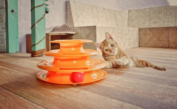 Best toys to 2025 keep cats active