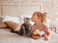 An image featuring a girl interacting with a cat.