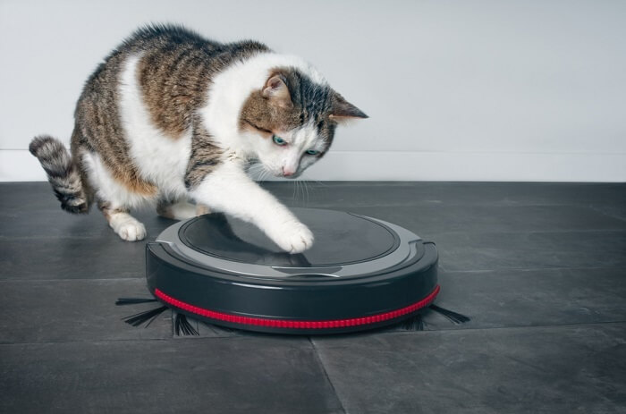 Robot vacuum cat sales litter