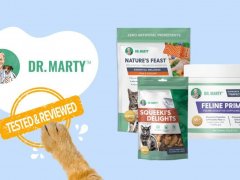 Brand-Review-Dr-Marty
