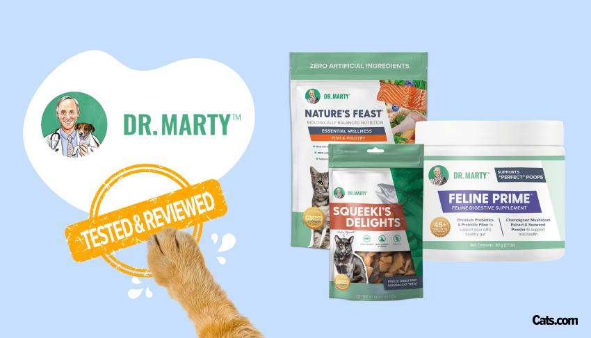 Brand Review - Dr Marty