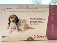 Revolution for cats