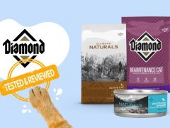 Brand-Review-Diamond-cat product