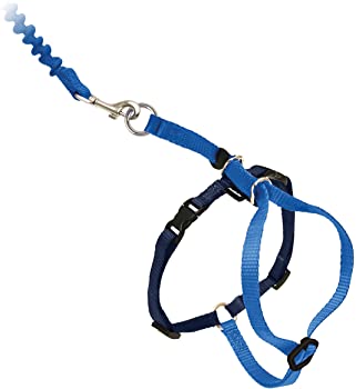 Breathable stylish ergonomic harness for cats - . Gift Ideas