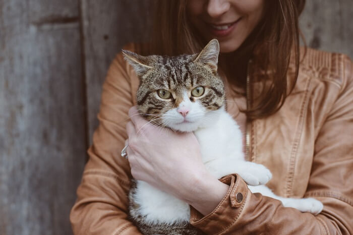 Things to keep in mind when adopting a FeLV-positive cat.