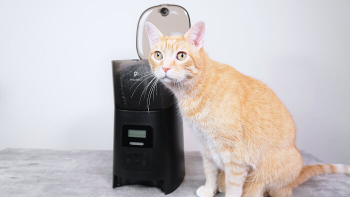 Petlibro Automatic Pet Feeder Review Feature