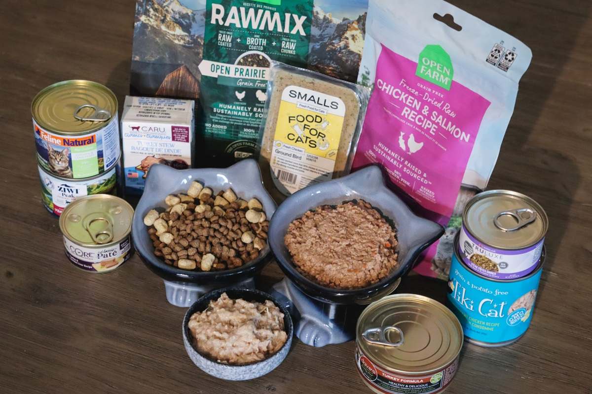 Best Cat Foods