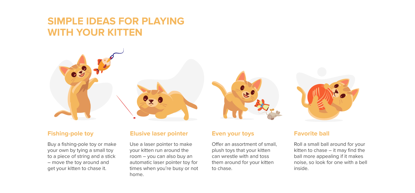 Image providing simple ideas for playing with a kitten.