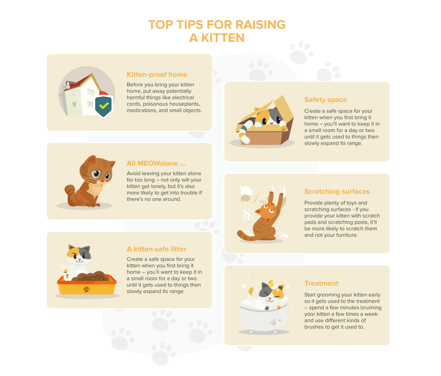 Image featuring top tips for raising a kitten.